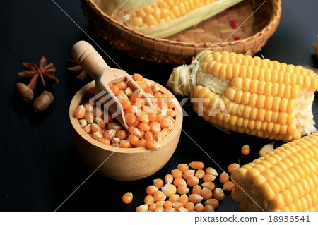 Corn and dried seeds 18936541