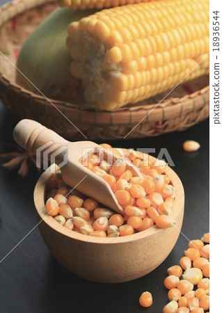 Corn and dried seeds 18936544