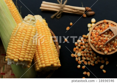 Corn and dried seeds Corn and dried seeds 18936546