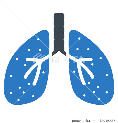 Lungs Icon 18936887