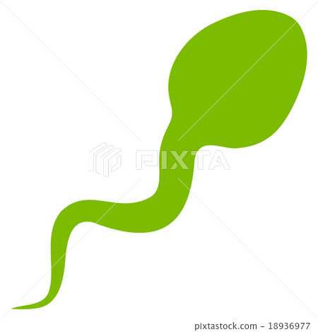 Spermatozoon Icon 18936977