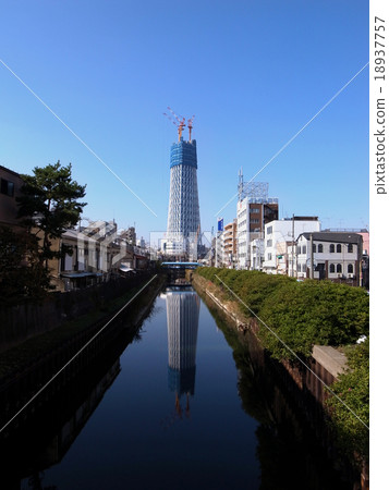 天空樹 18937757
