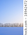 Snowy field and larch tree Snowy field and larch tree 18942472
