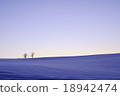 A snowy field and parent-child tree A snowy field and parent-child tree 18942474