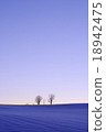 A snowy field and parent-child tree A snowy field and parent-child tree 18942475