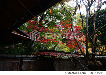 tourist spot  18943595