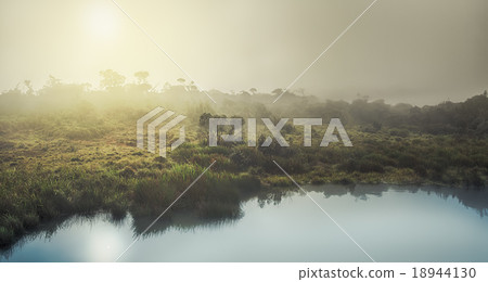 The Horton Plains. Sunrise The Horton Plains. Sunrise 18944130