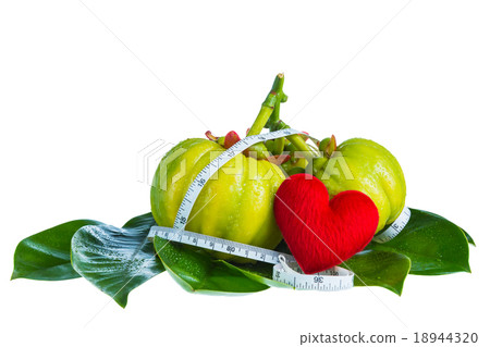 Garcinia cambogia with measuring tape Garcinia cambogia with measuring tape 18944320