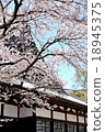 Temple and cherry blossoms Temple and cherry blossoms 18945375