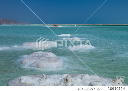 Beautiful coast of the Dead Sea . 18950134