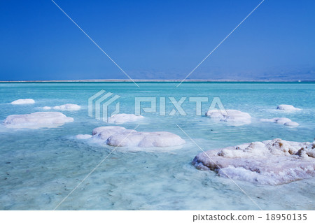 Beautiful coast of the Dead Sea . Beautiful coast of the Dead Sea . 18950135