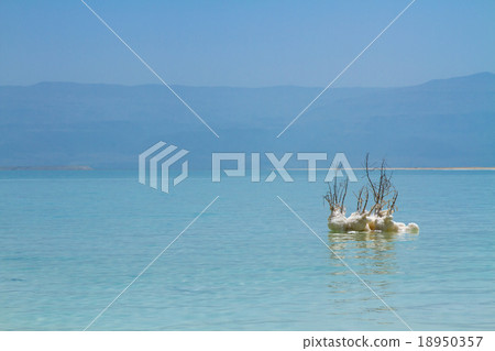 Beautiful coast of the Dead Sea . 18950357