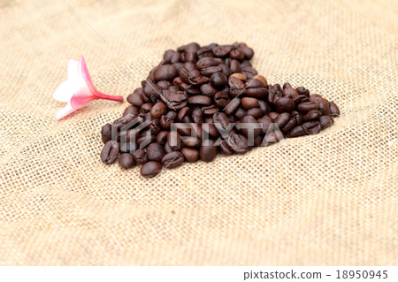 Beautiful heart of roasted coffee beans. 18950945