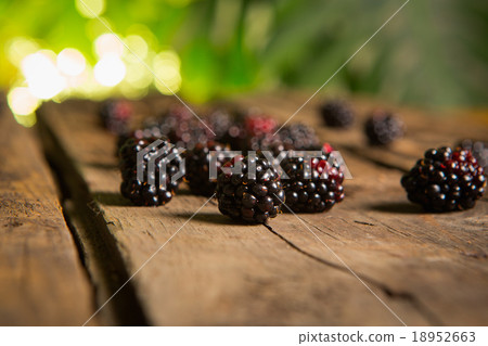 Sweet fresh blackberry in the wood bawl Sweet fresh blackberry in the wood bawl 18952663