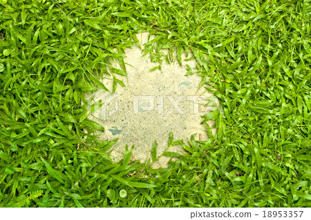 A circular foot step pad surrounded by green grass 18953357