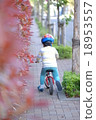 Run the wind and run! 18953557