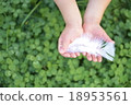 I saw an angel 's wing! 18953561