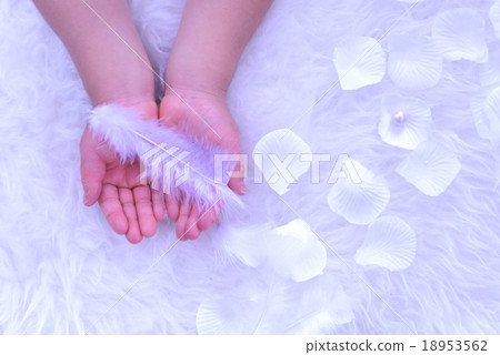 child's hand, children's hands, feather 18953562