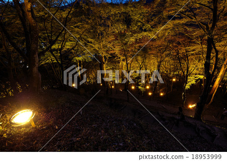 愛知縣Korankei峽谷燈火通明 愛知縣Korankei峽谷燈火通明 18953999