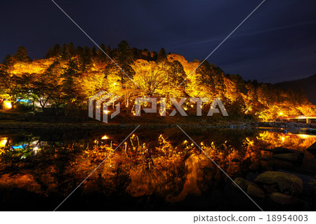 愛知縣Korankei峽谷燈火通明 愛知縣Korankei峽谷燈火通明 18954003