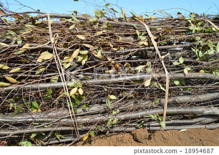 Top of root winding Top of root winding 18954687