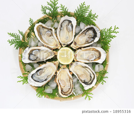 Oysters (for raw consumption) Oysters (for raw consumption) 18955316