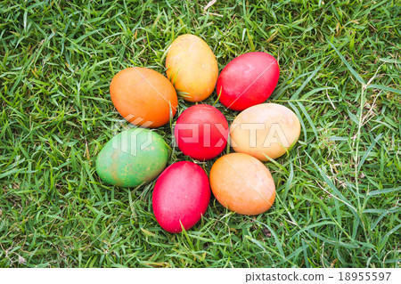 Colorful Easter Eggs with Daisy  18955597