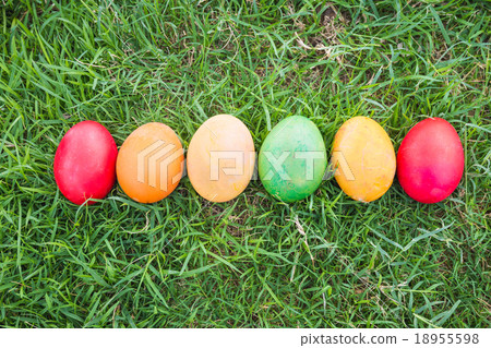 Row of Colorful Easter Eggs with Daisy  18955598