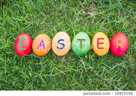 Row of Colorful Easter Eggs with Daisy Row of Colorful Easter Eggs with Daisy 18955599