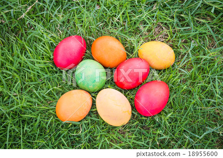 Colorful Easter Eggs with Daisy Colorful Easter Eggs with Daisy 18955600