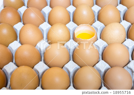 shell casing egg in package, yolk, albumen shell casing egg in package, yolk, albumen 18955716