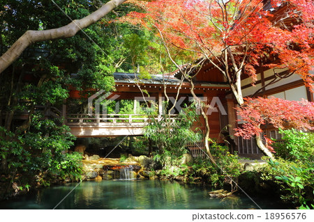 Fukadera寺廟偉大的住所池塘新鮮的地面 18956576