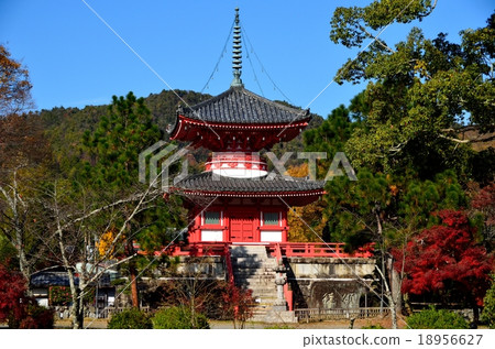 大名寺皮爾斯佛寺:京 大名寺皮爾斯佛寺:京 18956627