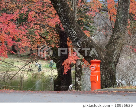 紅色帖子 紅色帖子 18956629