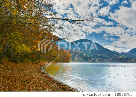 Chuzenji lake in Autumn, Nikko, Japan 18956703