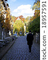 A stone paved city 18957591