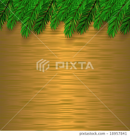 Fir Green Branch Fir Green Branch 18957841