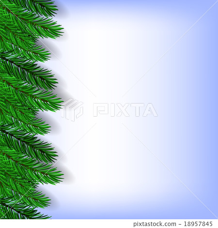 Fir Green Branches Fir Green Branches 18957845