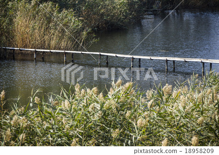 footbridge 18958209