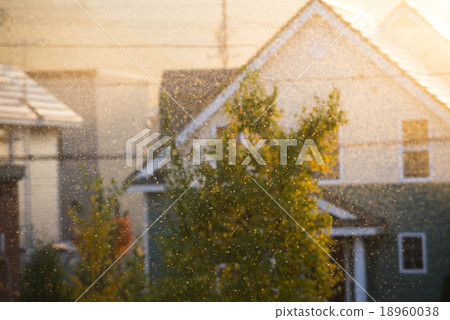 大量出現雪毛毛蟲 18960038