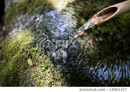 Deer Oshito, Moss top view 18961327
