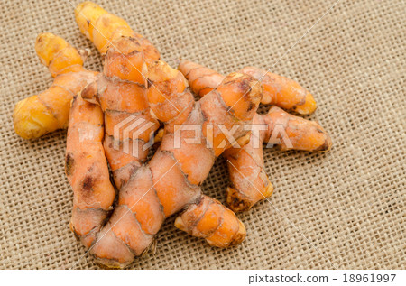 Turmeric. Turmeric. 18961997