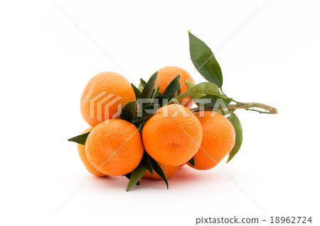 Branded Mandarin Orange: mandarin orange 18962724