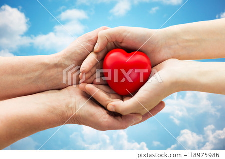 senior and young woman hands holding red heart 18975986