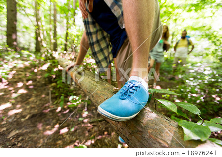 close up of man climbing over tree trunk in woods 18976241