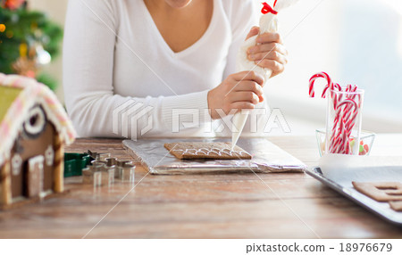 close up of woman making gingerbread houses 18976679