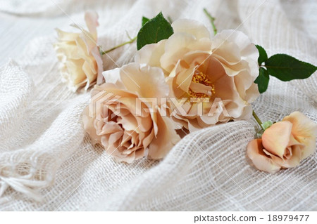 Roses Julia table photo 18979477