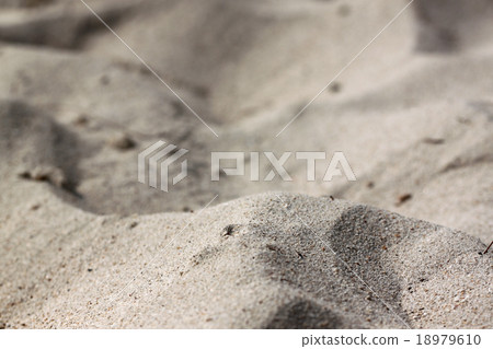 fine sand beach area is rugged. fine sand beach area is rugged. 18979610