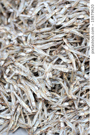 texture of anchovy fish after drying in sunlight. 18979620