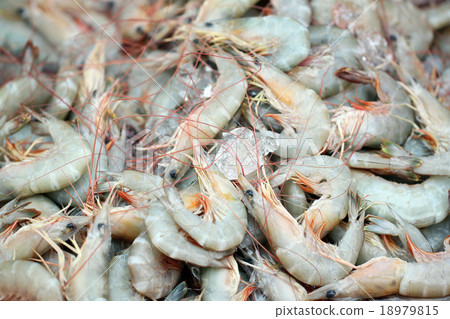 Fresh shrimps in seafood market. Fresh shrimps in seafood market. 18979815